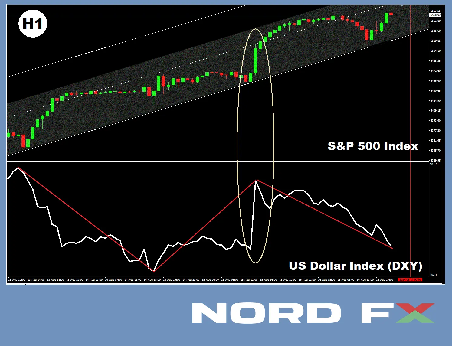 BTCUSD_05.08.2024.webp